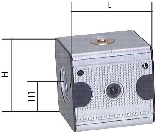 Exemplary representation: Non-return valve - Multifix